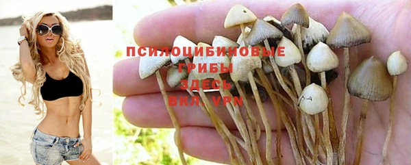 дурь Балабаново